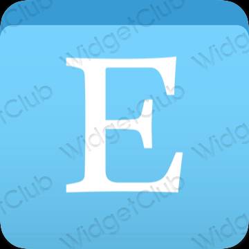 Aesthetic blue Etsy app icons