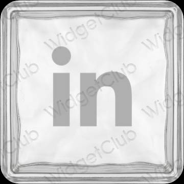 ესთეტიკური Linkedin აპლიკაციის ხატები