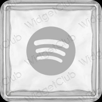 ესთეტიკური Spotify აპლიკაციის ხატები