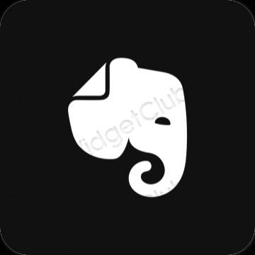 Естетске Evernote иконе апликација