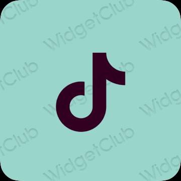 Aesthetic TikTok app icons