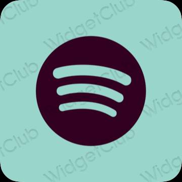 Ästhetische Spotify App-Symbole