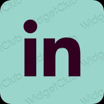 Biểu tượng ứng dụng Linkedin thẩm mỹ