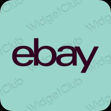 미적 eBay 앱 아이콘