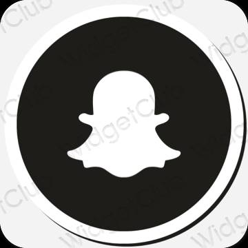 Esteetilised snapchat rakenduste ikoonid