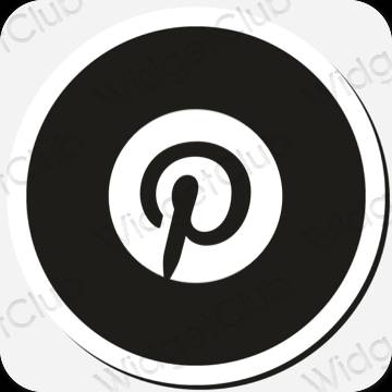 美学Pinterest 应用程序图标