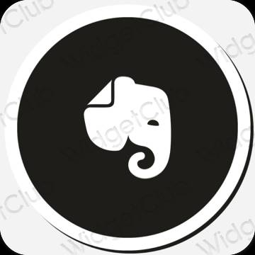 Estetik Evernote proqram nişanları