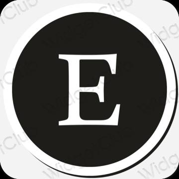 Icônes d'application Etsy esthétiques