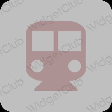 រូបតំណាងកម្មវិធី Suica សោភ័ណភាព
