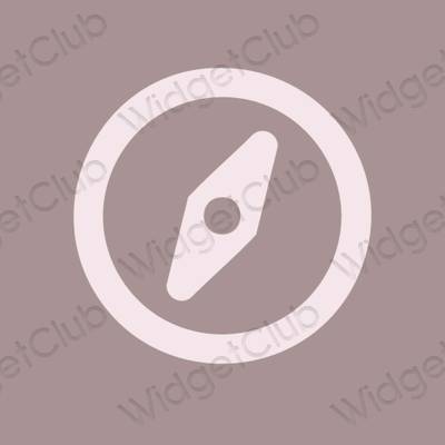 美学Safari 应用程序图标