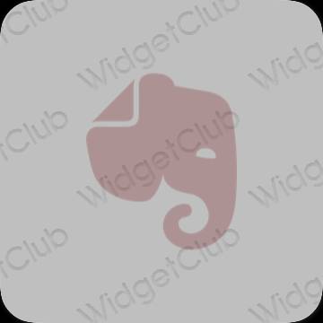 Estetické ikony aplikací Evernote