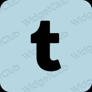 រូបតំណាងកម្មវិធី Tumblr សោភ័ណភាព