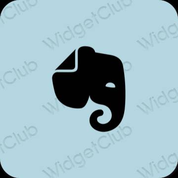 Estetinės Evernote programų piktogramos