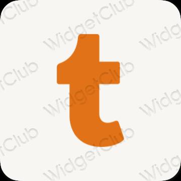 Icone delle app Tumblr estetiche