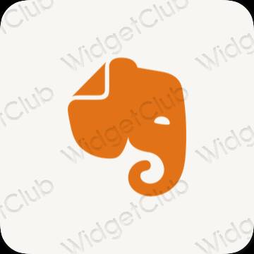 ไอคอนแอพ Aesthetic Evernote