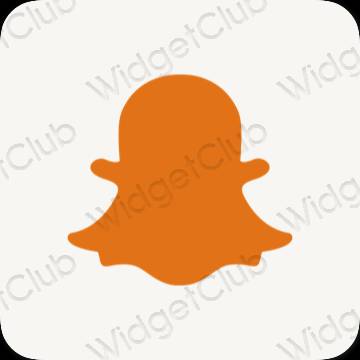 Estetiska snapchat appikoner