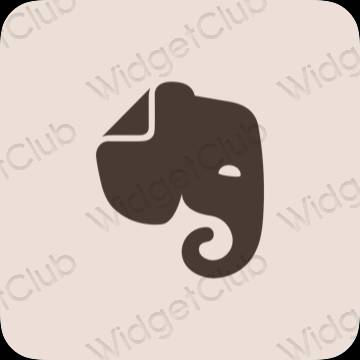 Ikon apl Evernote Estetik