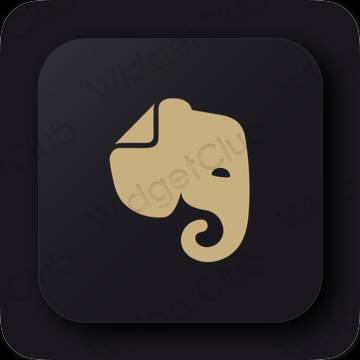 Ikon apl Evernote Estetik