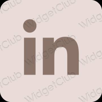 រូបតំណាងកម្មវិធី Linkedin សោភ័ណភាព