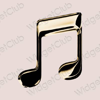 រូបតំណាងកម្មវិធី Music សោភ័ណភាព