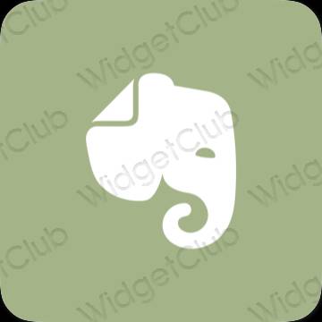 Ikon apl Evernote Estetik