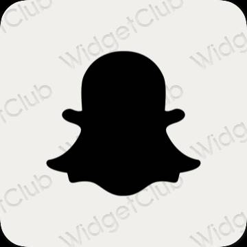 ესთეტიკური snapchat აპლიკაციის ხატები