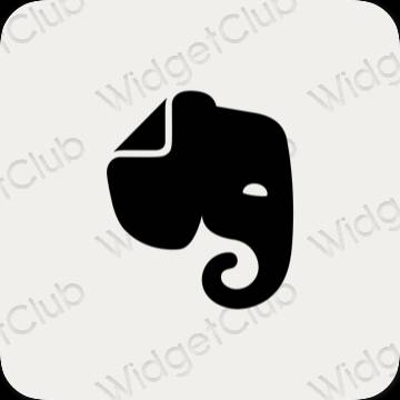 Ikon apl Evernote Estetik