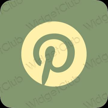 ესთეტიკური Pinterest აპლიკაციის ხატები