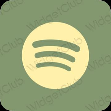 ესთეტიკური Spotify აპლიკაციის ხატები