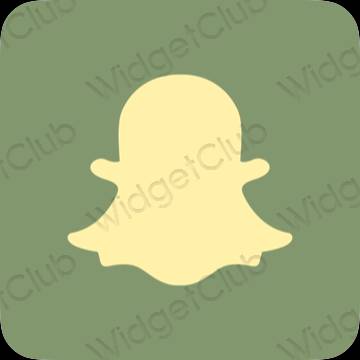 ესთეტიკური snapchat აპლიკაციის ხატები