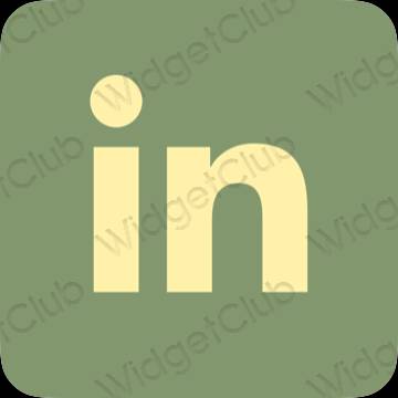 ესთეტიკური Linkedin აპლიკაციის ხატები