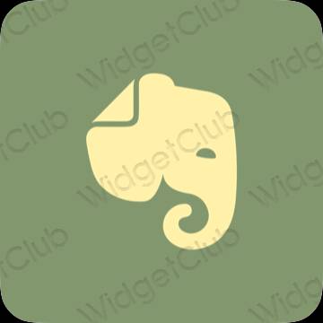 Ikon apl Evernote Estetik