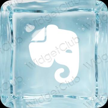 Evernote