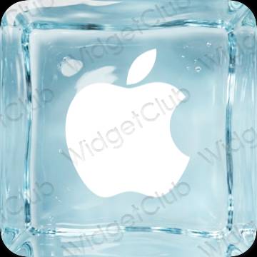 Apple Store