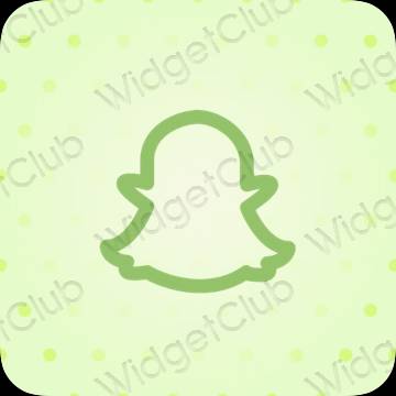 美學snapchat 應用程序圖標