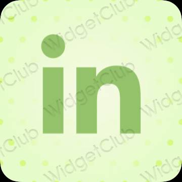 ესთეტიკური Linkedin აპლიკაციის ხატები