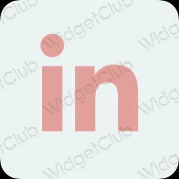 ესთეტიკური Linkedin აპლიკაციის ხატები