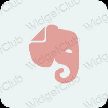 Ikon apl Evernote Estetik