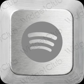 ესთეტიკური Spotify აპლიკაციის ხატები