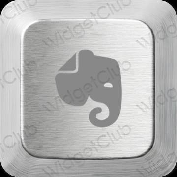 Ikon apl Evernote Estetik