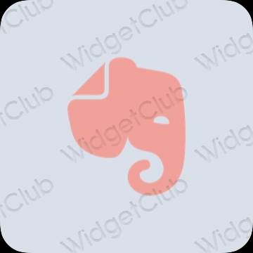 Ikon apl Evernote Estetik