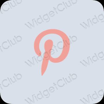 美學Pinterest 應用程序圖標