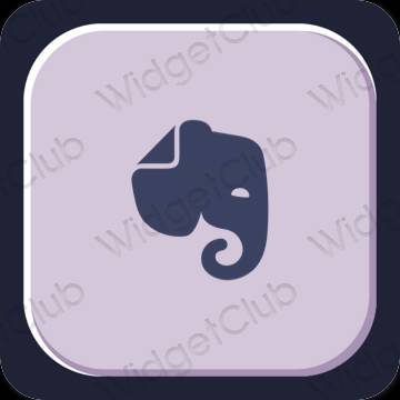 Aesthetic Evernote app icons