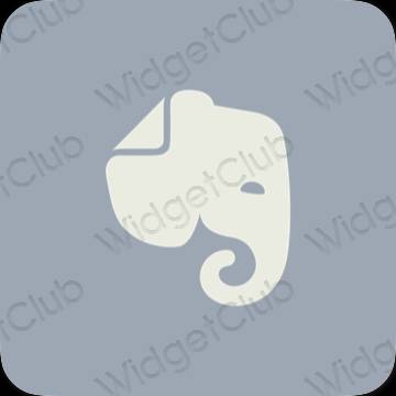 Ikon apl Evernote Estetik