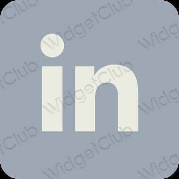 ესთეტიკური Linkedin აპლიკაციის ხატები