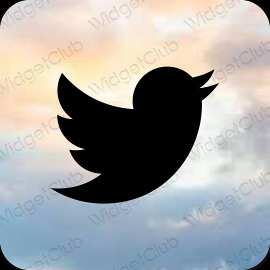 Icônes d'application Twitter esthétiques