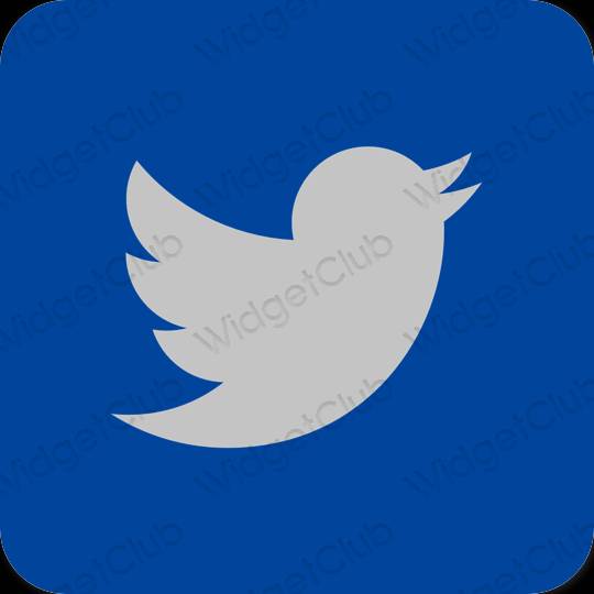 эстетический синий Twitter значки приложений