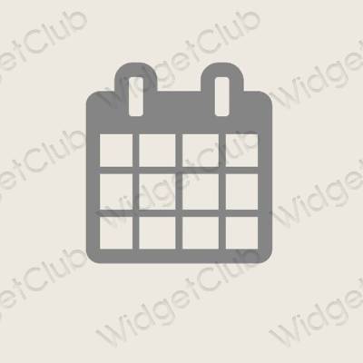 Estético beige Calendar iconos de aplicaciones