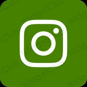 审美的 绿色 Instagram 应用程序图标
