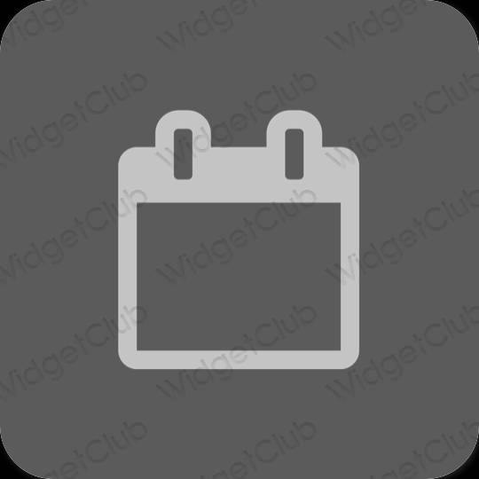 Estetski siva Calendar ikone aplikacija
